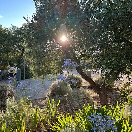 アパート Chicco Di Grano