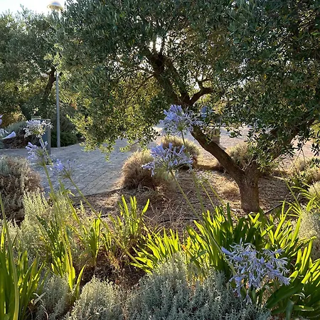 アパート Chicco Di Grano