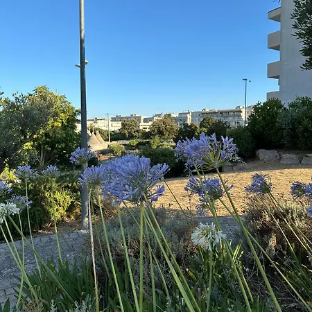 Chicco Di Grano アパート ロコロトンド