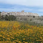 Chicco Di Grano * Locorotondo