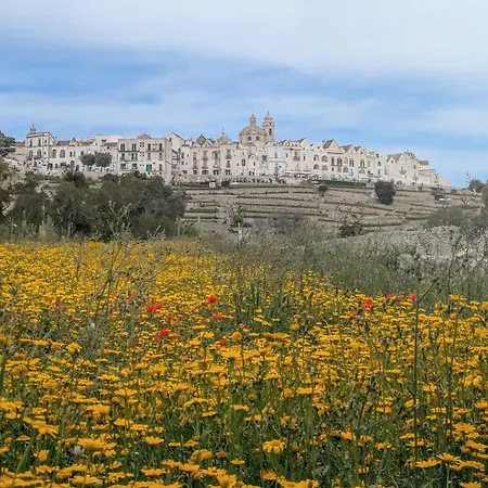 Chicco Di Grano * Locorotondo